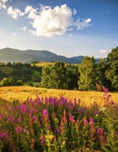 Late summer country landscape with colorful blooming meadow and sunbeam, AI generated