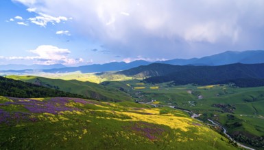 Late summer country landscape with colorful blooming meadow and sunbeam, AI generated