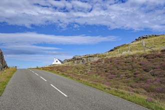 Lonely road through hilly landscape with a white cottage in the background, Isle of Lewis Hebrides,