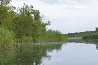 Canoe, Alte Fahrt canal and Caarpsee lake, Müritz National Park, Mecklenburg Lake District,