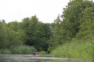 Canoe, trees, Alte Fahrt canal between Bolter Schleuse lock and Caarpsee lake, Müritz National