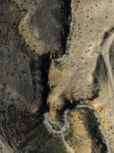 Vertical shot of a dry, rocky canyon with a narrow path, aerial view, Angel's Canyon, canyon,