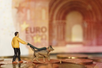 Miniature figure man with miniature shepherd dog on a lead, with coins and ten euro note North