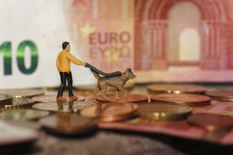 Miniature figure man with miniature shepherd dog on a lead, with coins and ten euro note North