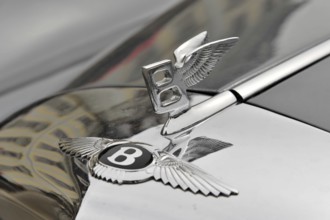 Bentley emblem on a shiny bonnet, symbolising luxury and elegance, Retro Classics meets Baroque,