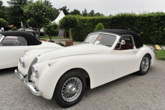 Jaguar Coupe, Vintage car, Elegant white Jaguar vintage convertible with refined design and black