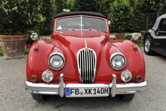Jaguar Coupe, Classic car, Red Jaguar classic car with classic lines and a stylish look, Retro