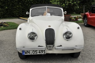 Jaguar Coupe, Classic car, Elegant white Jaguar classic car with striking front design and
