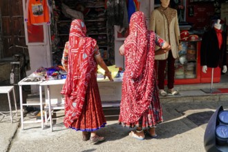Udaipur, Rajasthan, North India, Asia, Women in traditional dress at a stall on the street