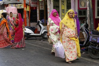 Udaipur, Rajasthan, North India, Asia, Women in traditional saris shopping on an Indian street
