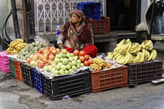 Udaipur, Rajasthan, North India, Asia, woman selling various fruits in plastic boxes at a market
