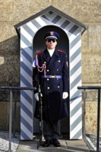 Changing of the guard at Prague Castle, Hradcany, Prague, Czech Republic, Europe, A uniformed