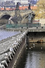 Prague, Czech Republic, Europe, Historic bridge over a river, surrounded by autumn landscape