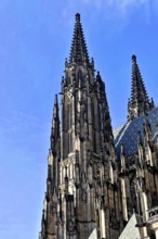 St Vitus or St Vitus Cathedral, Hradcany, Prague, Czech Republic, Europe, Detailed Gothic church