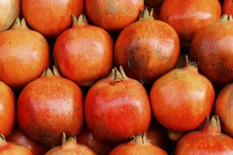 Kota, Rajasthan, North India, Asia, Ripe, red pomegranates close together, with a smooth surface