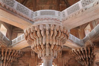 Sawai Madhopur, Kota, Rajasthan, North India, Asia, Detailed stone sculpture and ceiling decoration