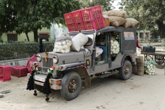 Sawai Madhopur, Kota, Rajasthan, North India, Asia, A fully loaded lorry with cauliflowers and