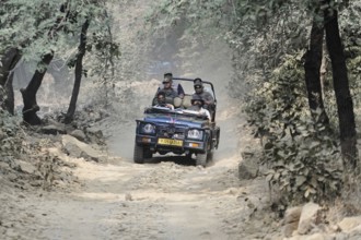 Ranthambhore Tiger Reserve, Sawai Madhopur, Kota, Rajasthan, North India, Asia, Jeep with drivers