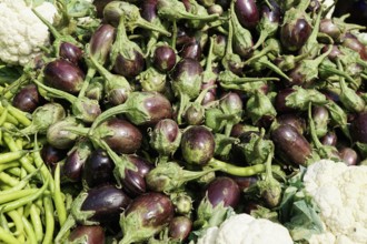 Kota, Rajasthan, North India, Asia, Fresh aubergines with green beans and some cauliflower on a