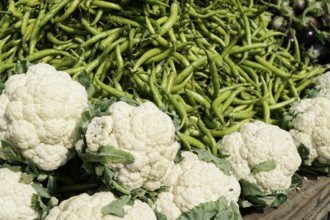 Kota, Rajasthan, North India, Asia, Fresh vegetables with cauliflower and green beans on a market