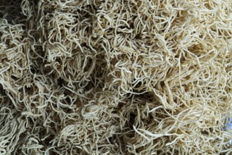 Kota, Rajasthan, North India, Asia, Pile of beige, dried noodles in a chaotic pattern, India
