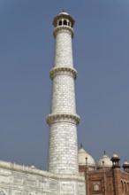 Taj Mahal Tomb, UNESCO World Heritage Site, Agra, Uttar Pradesh, India, Asia, Famous mausoleum by