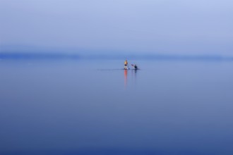 A calm lake (Steinhuder Meer) with paddleboarders under a blue and wide sky, Wunstorf