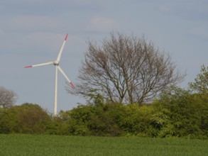 A wind turbine stands above green trees under a blue sky, weseke, münsterland, germany