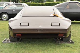 A brown classic sports car displayed from behind in a meadow, Retro Classics meets Baroque,