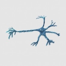 Neuron Axon, Mind and Psychology Concept