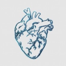 Heart, Mind and Emotional Connection Concept