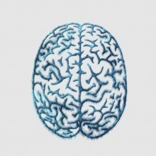 Mind and Psychology Concept, Top View Brain