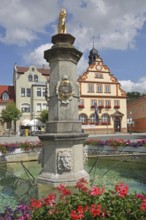 Market square with market fountain with column and heraldic animal, town hall, floral decoration,