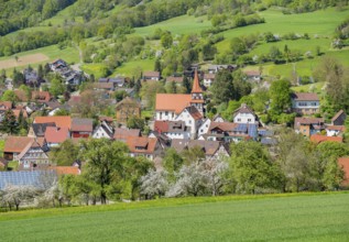 Idyllic sunny spring time scenery including a town named Kocherstetten located in Hohenlohe, a
