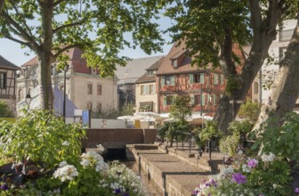 Part of the old town in Colmar, Alsace, France, named little Venice