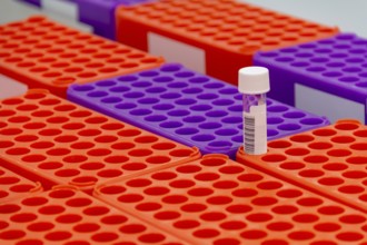 Closeup shot of medical sample racks