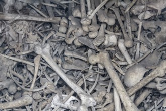 Lots of human bones from fallen soldiers seen at the Douaumont Ossuary, a memorial located near