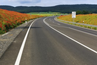 Empty federal road B 240, little traffic, poppy blossom, Eschershausen, Weserbergland, Holzminden,