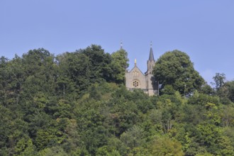 St. Mary's Church, mountain, forest, Zeiler Käppele, Kapellenberg, Zeil am Main, Lower Franconia,
