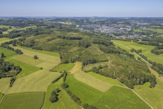 Aerial view, forest area with forest damage Rummelsberg, view to Drolshagen, Sauerland, North