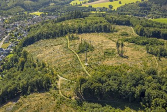Aerial view, forest area with forest damage in hilly landscape, Herrnscheid Berg, Drolshagen,