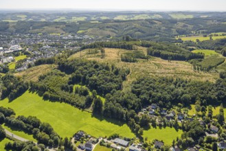 Aerial view, forest area with forest damage in hilly landscape, Herrnscheid Berg, Drolshagen,