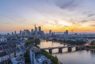 Frankfurt City Downtown, Residential Buildings, Bridges and Main River at Fiery Colorful Evening