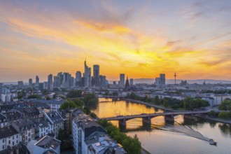 Frankfurt City Downtown, Residential Buildings, Bridges and Main River at Fiery Colorful Sunset.