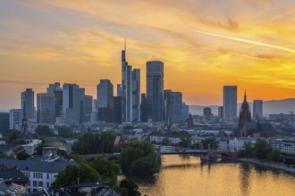 Frankfurt City Skyscrapers, Residential Buildings, Bridges and Main River at Fiery Sunset. Aerial
