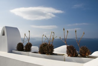 Beautiful mountain village of Oia in the north of the Cyclades island of Santorini, Cyclades, Oia,