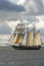 Three-masted topsail schooner Oosterschelde (built 1917), Rotterdam, harbour of Bremerhaven,