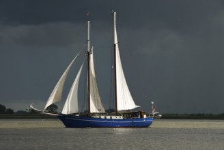 Two-masted gaff schooner Stortemelk (built 1961-62), Amsterdam, harbour of Bremerhaven,