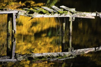 Dilapidated jetty in the castle gardens of Rastede, Oldenburg, Northern Germany, Germany