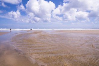 Five-Mile-Beach on New Zealand's North Island, Beach, New Zealand, North Island